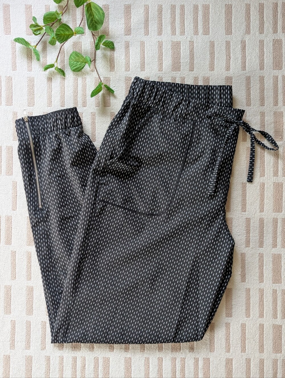 Albion Fit | Medium | Dash Jetsetters Joggers